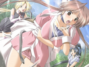 Картинка аниме *unknown другое