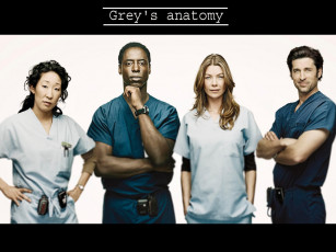 Картинка кино фильмы grey`s anatomy