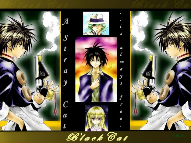 Обои картинки фото аниме, black, cat