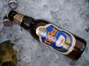 обоя бренды, tiger