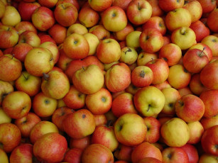 Картинка еда Яблоки