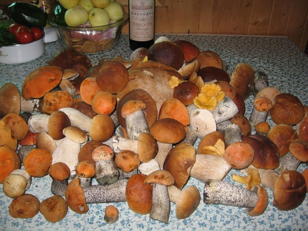 Обои картинки фото еда, грибы, грибные, блюда