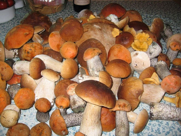 Обои картинки фото еда, грибы, грибные, блюда