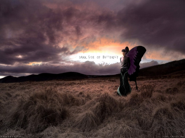 Обои картинки фото фэнтези, феи