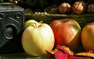 Картинка еда