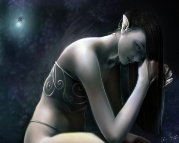 Обои картинки фото фэнтези, эльфы