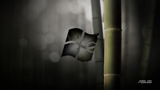 Обои картинки фото компьютеры, asus, windows, тёмный, логотип
