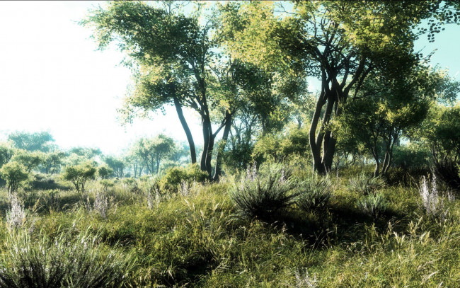 Обои картинки фото 3д, графика, nature, landscape, природа, деревья, луг