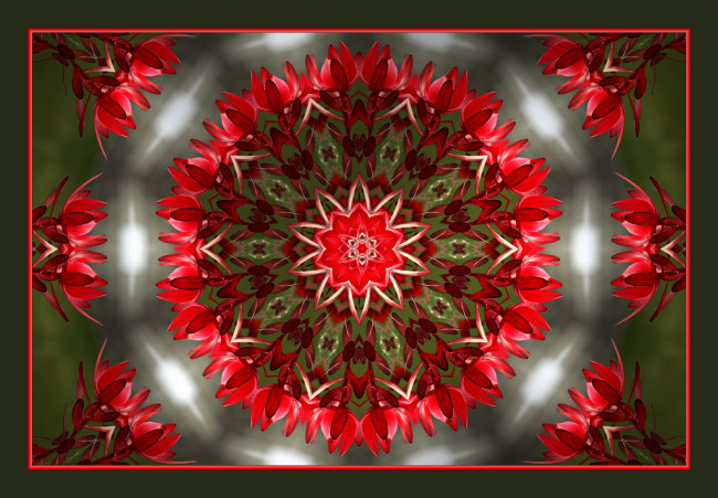 Обои картинки фото 3д, графика, fractal, фракталы, узор, цвета, фон