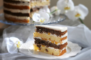 Картинка еда торт только тортик