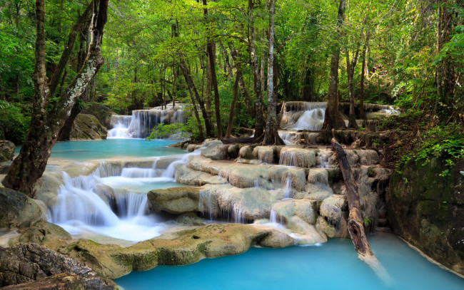 Обои картинки фото природа, реки, озера, лес, река, камни