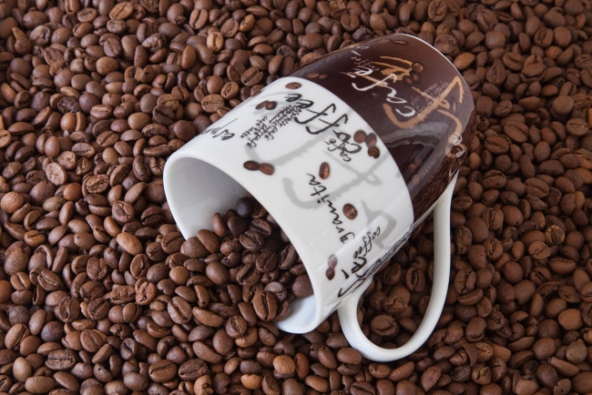 Обои картинки фото еда, кофе, кофейные, зёрна, чашка, зерна