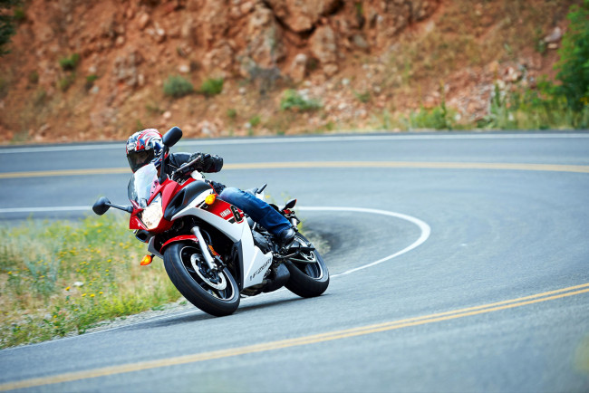 Обои картинки фото мотоциклы, yamaha, 2014, fz6r