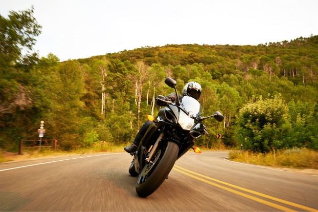 Обои картинки фото мотоциклы, yamaha, 2014, fz6r