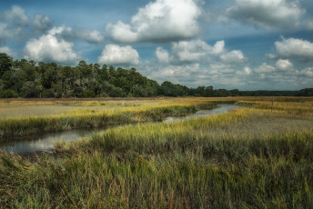 Картинка природа реки озера поле лес речка