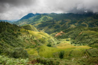 Картинка природа пейзажи долина лес горы