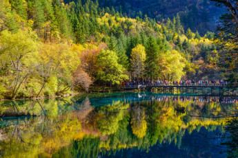 Картинка природа реки озера лес осень река