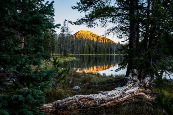 Картинка природа реки озера река лес горы