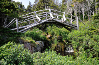 Картинка природа реки озера река лес мостик