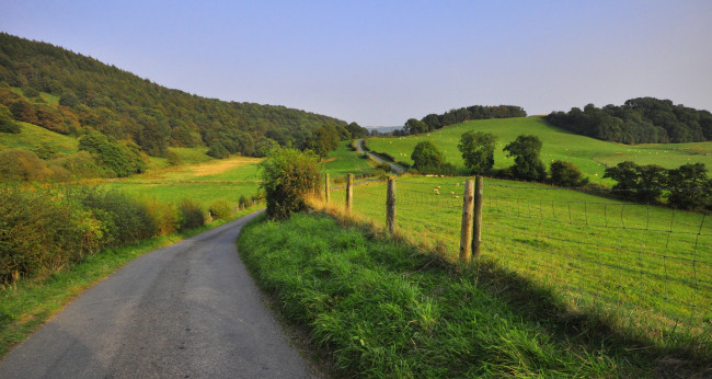 Обои картинки фото природа, дороги, лес, дорога, холмы