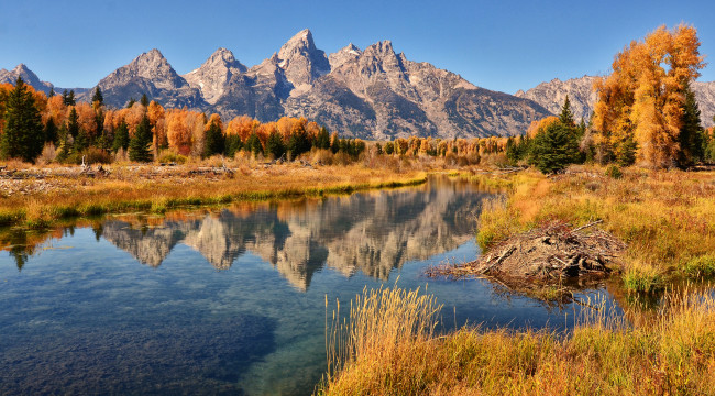 Обои картинки фото природа, реки, озера, осень, река, лес, горы