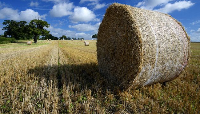 Обои картинки фото природа, поля, поле, жнивье, сноп