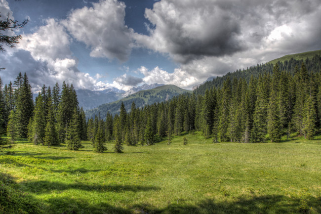 Обои картинки фото природа, пейзажи, горы, лес, луг, облака