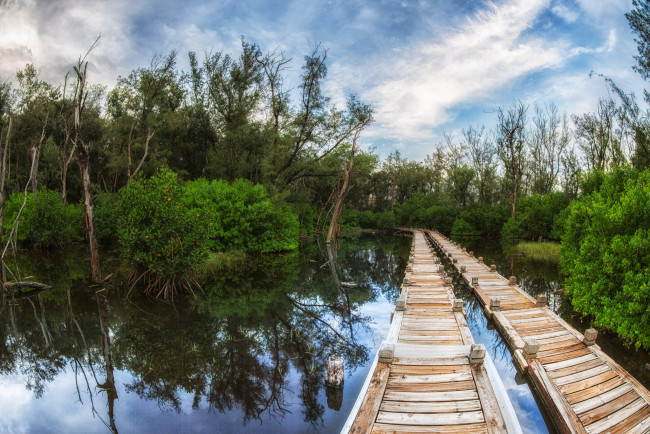 Обои картинки фото природа, дороги, помост, заросли, река