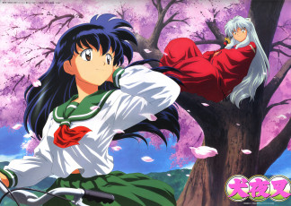 Картинка аниме inuyasha дерево весна кагоме higurashi kagome инуяша