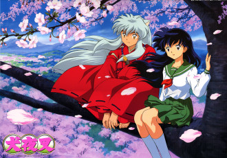 Картинка аниме inuyasha higurashi kagome весна дерево сакура инуяша кагоме
