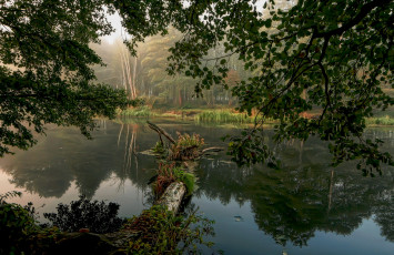 Картинка природа реки озера река лес
