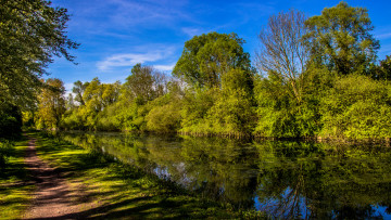 Картинка природа реки озера река лес