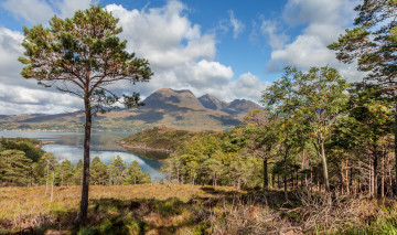 Картинка природа реки озера лес река