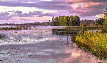 Картинка природа реки озера река лес