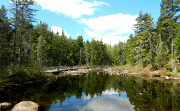 Картинка природа реки озера река лес