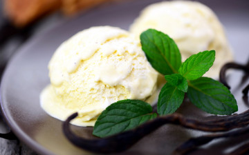 Картинка еда мороженое +десерты мята ванильное