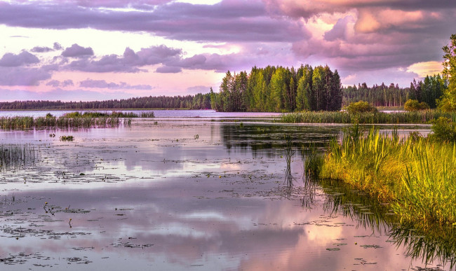 Обои картинки фото природа, реки, озера, река, лес