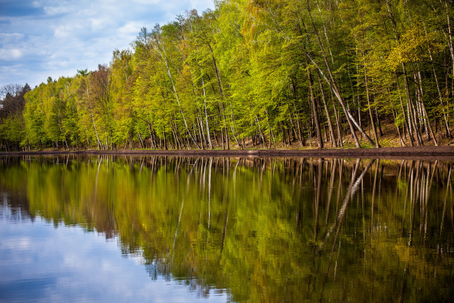 Обои картинки фото природа, реки, озера, река, лес