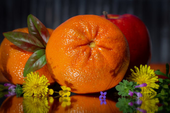 Картинка еда цитрусы снедь