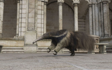 Картинка 3д+графика животные+ animals зверь