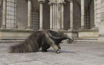 Картинка 3д+графика животные+ animals зверь