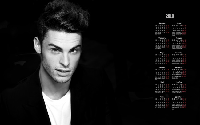 Обои картинки фото календари, знаменитости, мужчина, эмоции