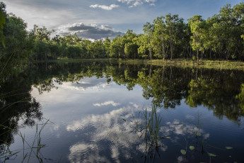 Картинка природа реки озера простор