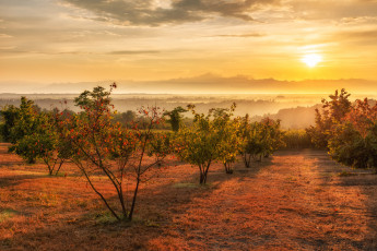 Картинка природа восходы закаты простор