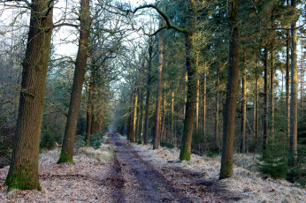 Картинка природа дороги простор