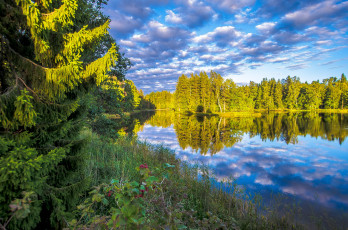 Картинка природа реки озера простор