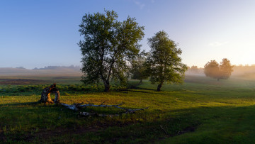 Картинка природа деревья простор