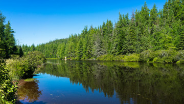 Картинка природа реки озера простор