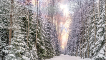 Картинка природа зима простор