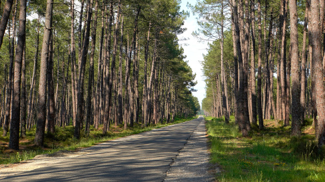 Обои картинки фото природа, дороги, простор